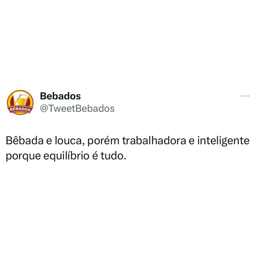 Meme de perfil Bebados com frase sobre ser bêbada, louca, trabalhadora e inteligente.