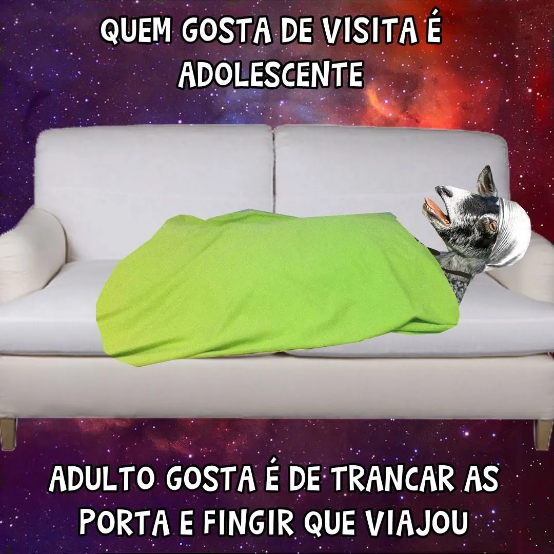 Cachorro escondido sob uma coberta no sofá sobre adulto tranca a porta e finge que viajou