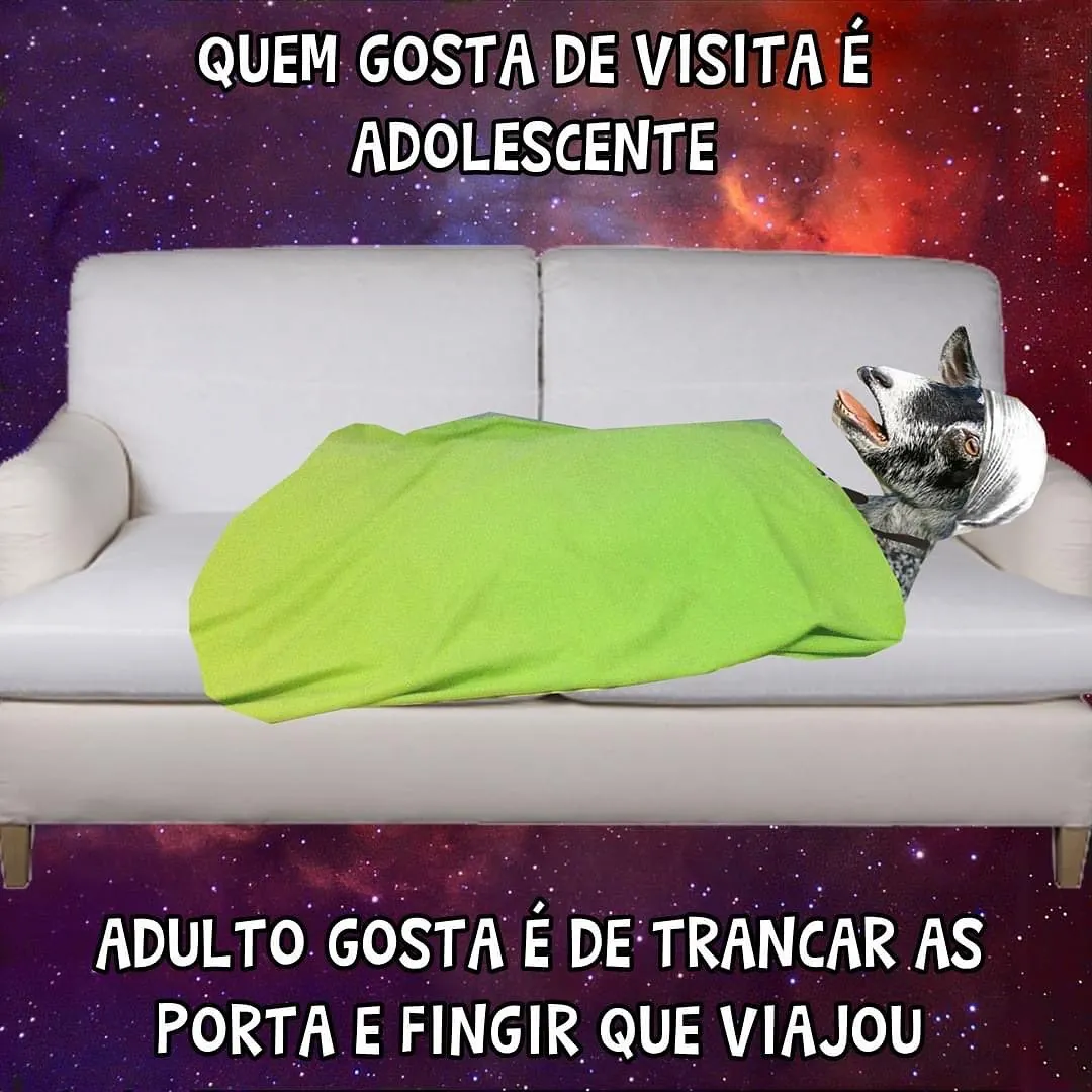 Cachorro enrolado em cobertor no sofá representa adulto tranca a porta e finge que viajou.