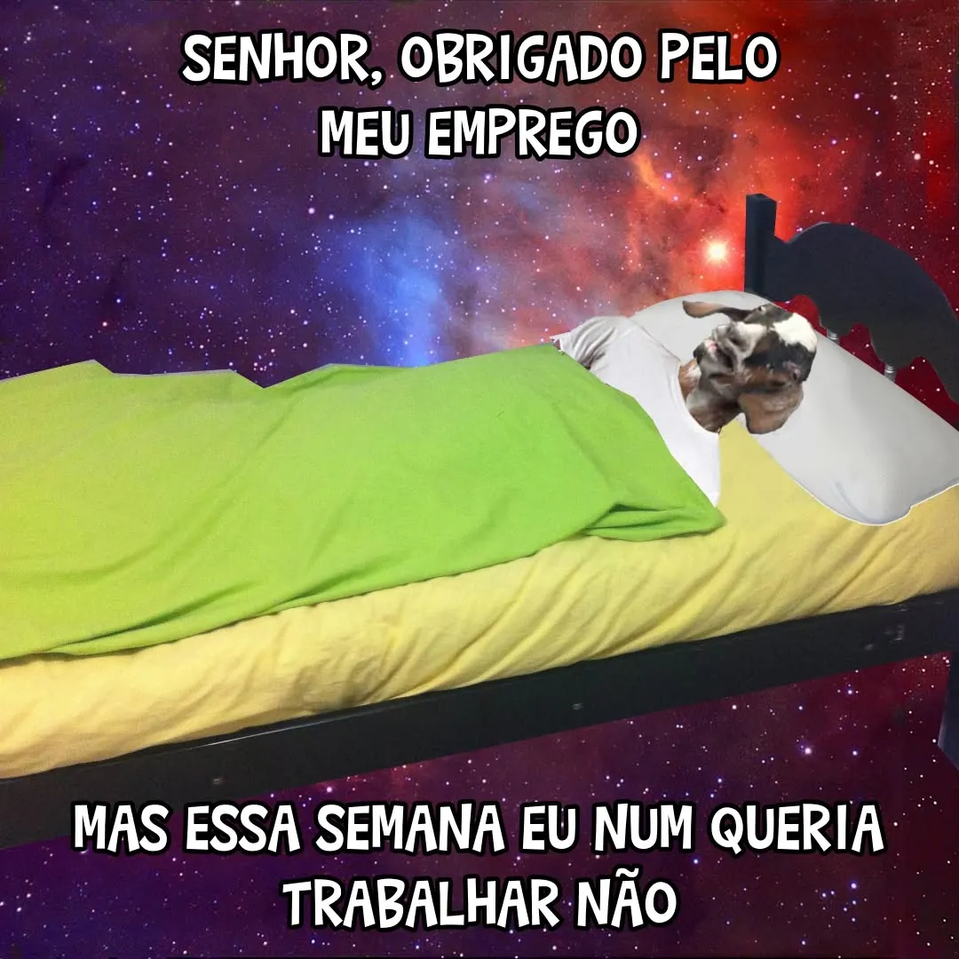 Meme de animal deitado na cama sobre agradecer pelo emprego e não querer trabalhar