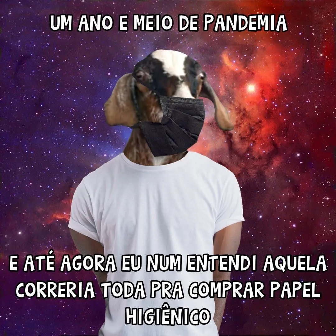 Meme de cachorro usando máscara sobre a correria para comprar papel higiênico na pandemia