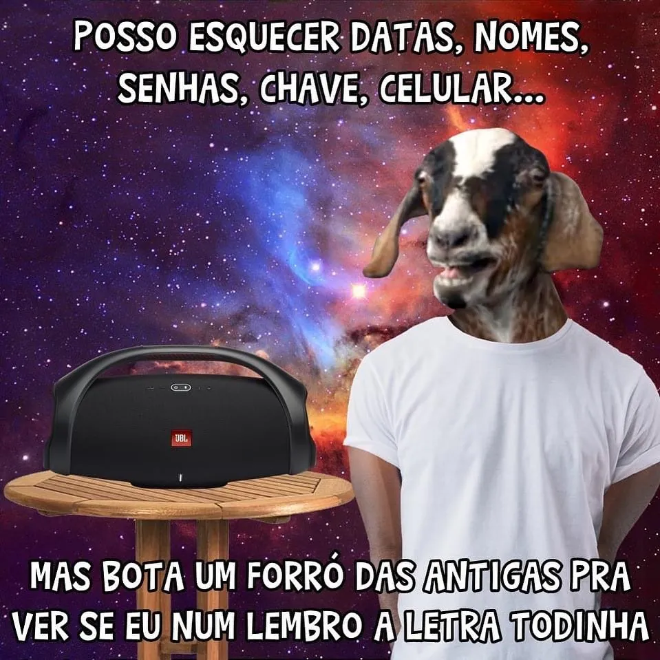 Meme de bode ao lado de uma caixa de som sobre esquecer datas e lembrar letra de forró.