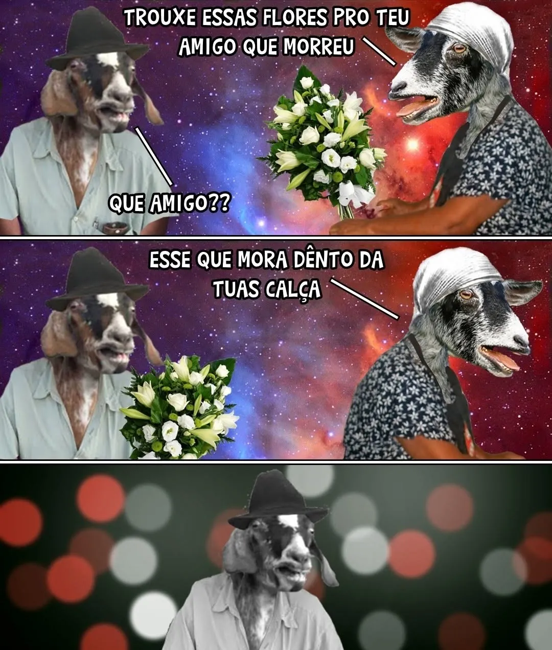 Meme de bode levando flores para amigo que morreu e revelando que ele mora dentro da calça.