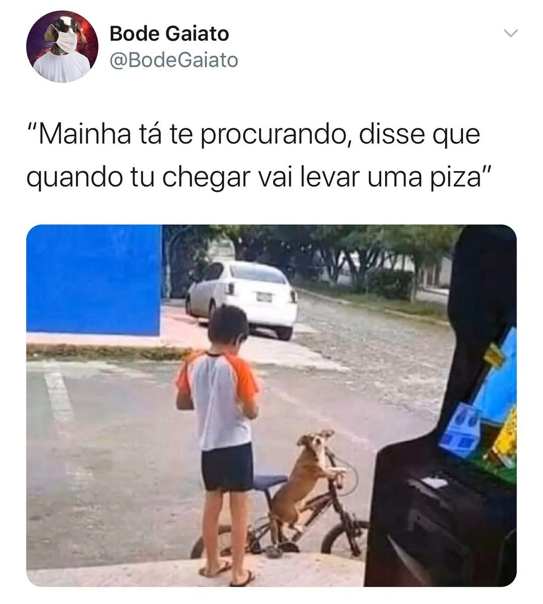 meme de mainha tá te procurando com menino na rua e cachorro em bicicleta