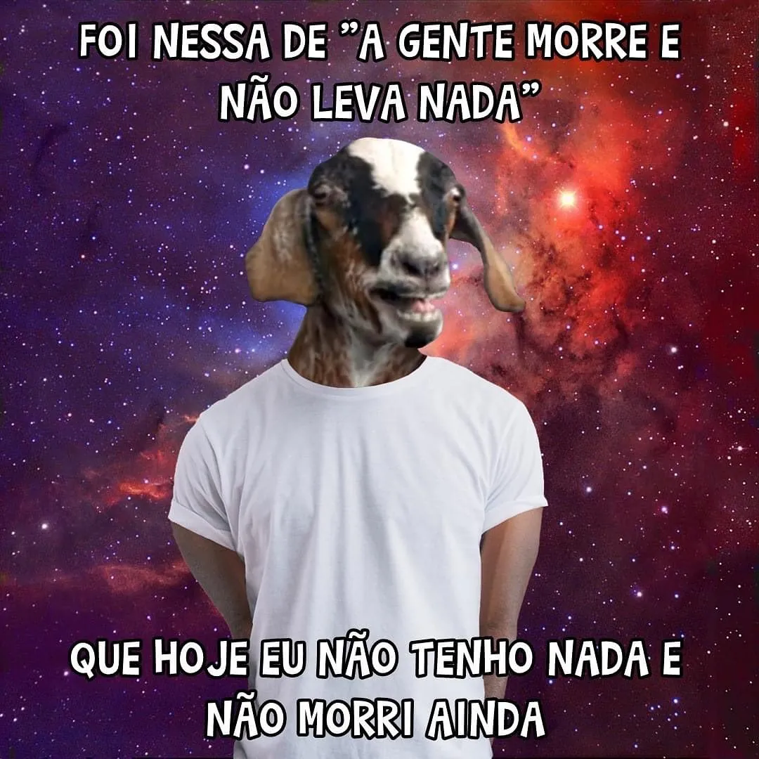 Meme de um bode com camiseta branca sobre morrer sem levar nada e não ter nada ainda.