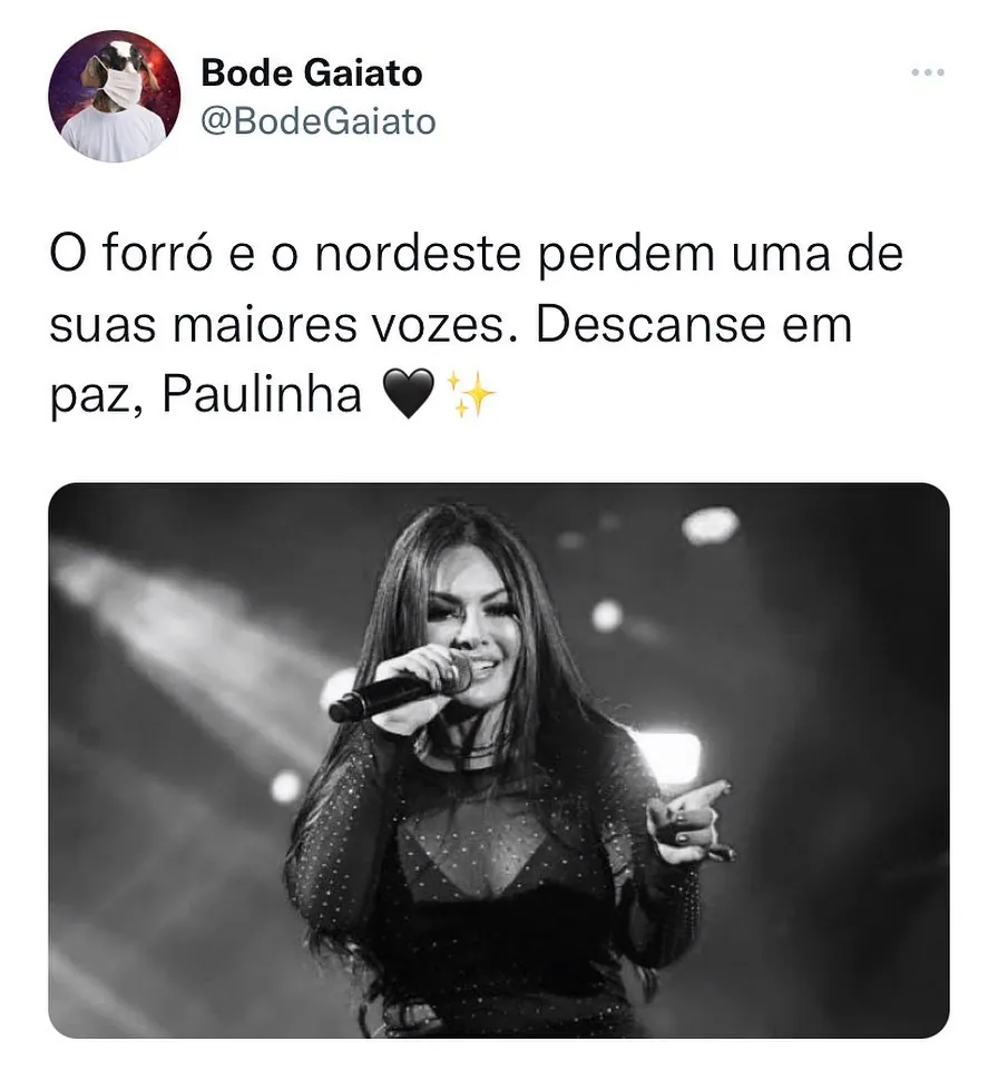meme de homenagem com foto de Paulinha cantando e texto sobre o forró e o nordeste perderem uma grande voz