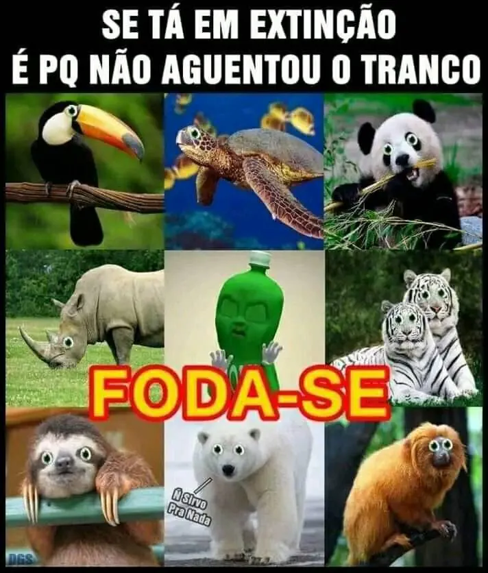 meme de animais com a frase extinção não aguentou o tranco e texto foda-se no centro