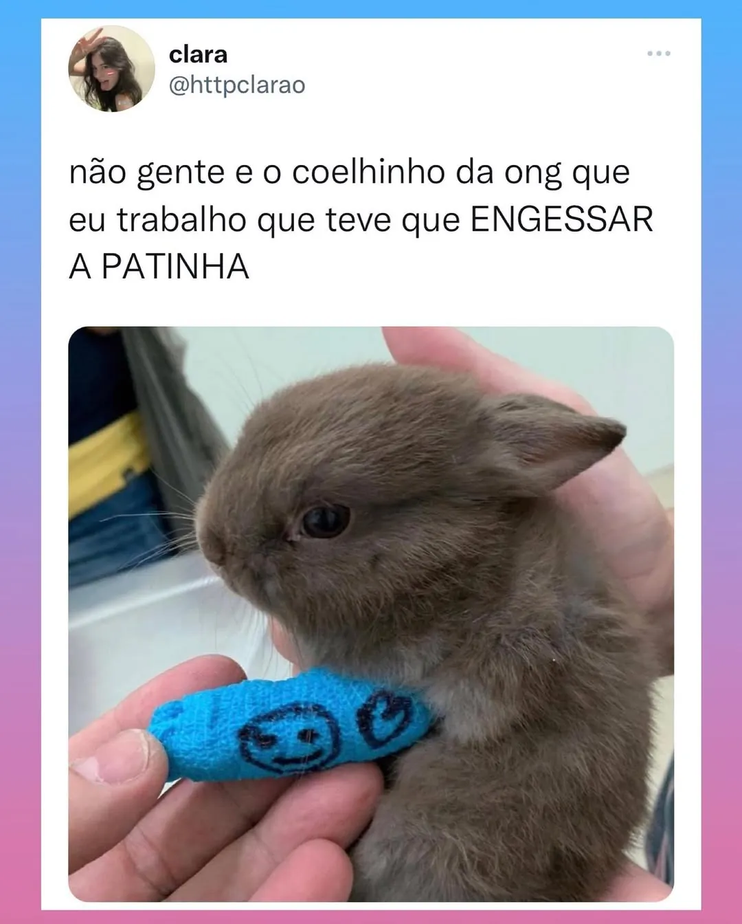 Meme de coelhinho marrom com a patinha engessada em azul, segurado por uma pessoa.