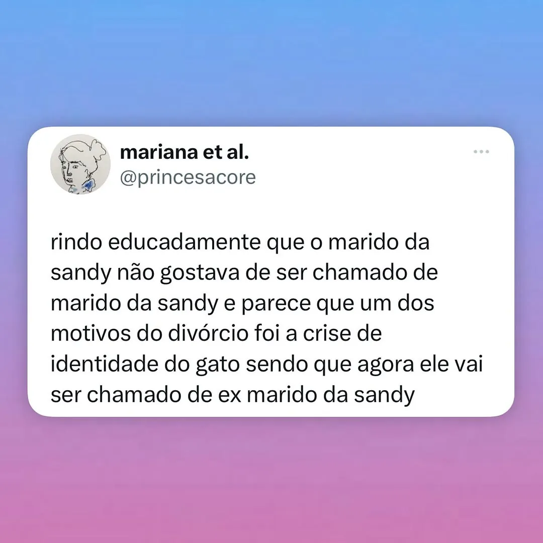 Meme sobre o marido da Sandy após o divórcio virar ex-marido da Sandy.