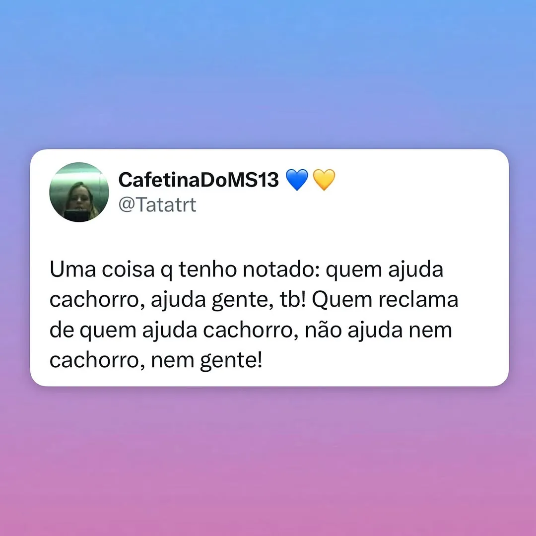 Meme de texto sobre quem ajuda cachorro também ajudar gente e sobre reclamar de solidariedade.