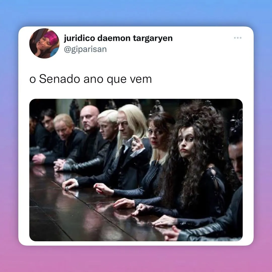 Meme de uma reunião sombria dos personagens de Harry Potter representando o Senado ano que vem.