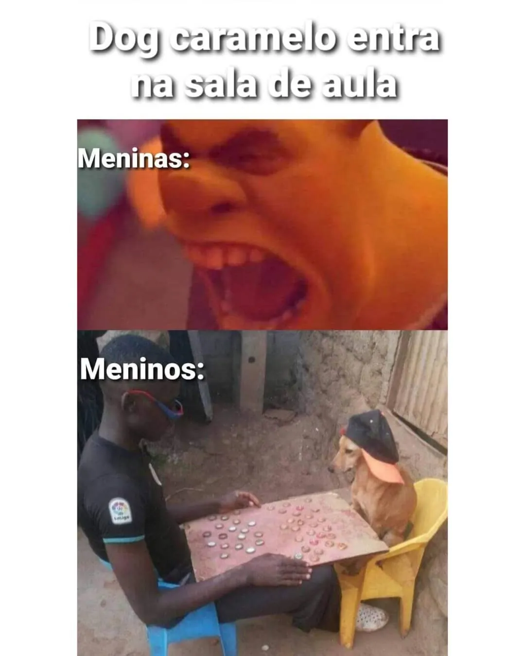 Meme de dog caramelo entra na sala de aula e é recebido por alunos de formas diferentes