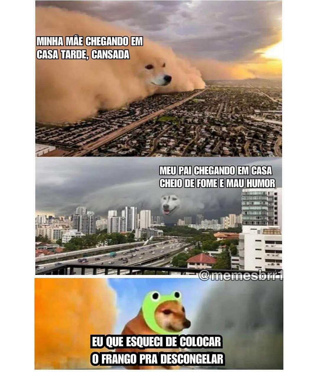 Meme de cachorro gigante sobre a cidade e pessoa que esqueceu de descongelar o frango.