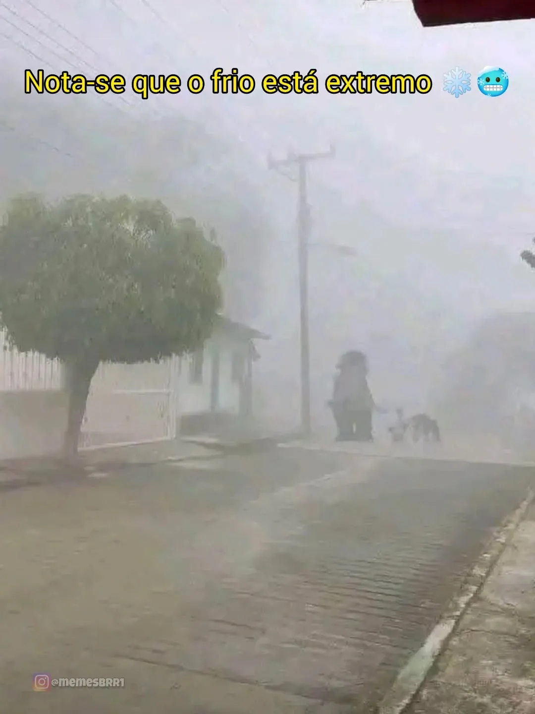 Meme de frio extremo com rua tomada por neblina, cachorro e pessoa ao fundo.