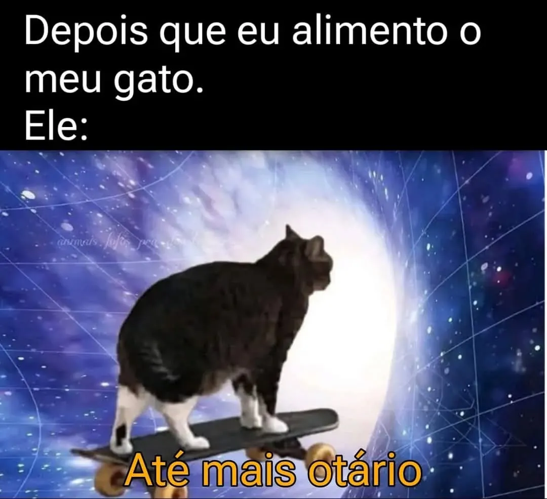 Meme de gato depois de ser alimentado andando de skate com a frase até mais otário