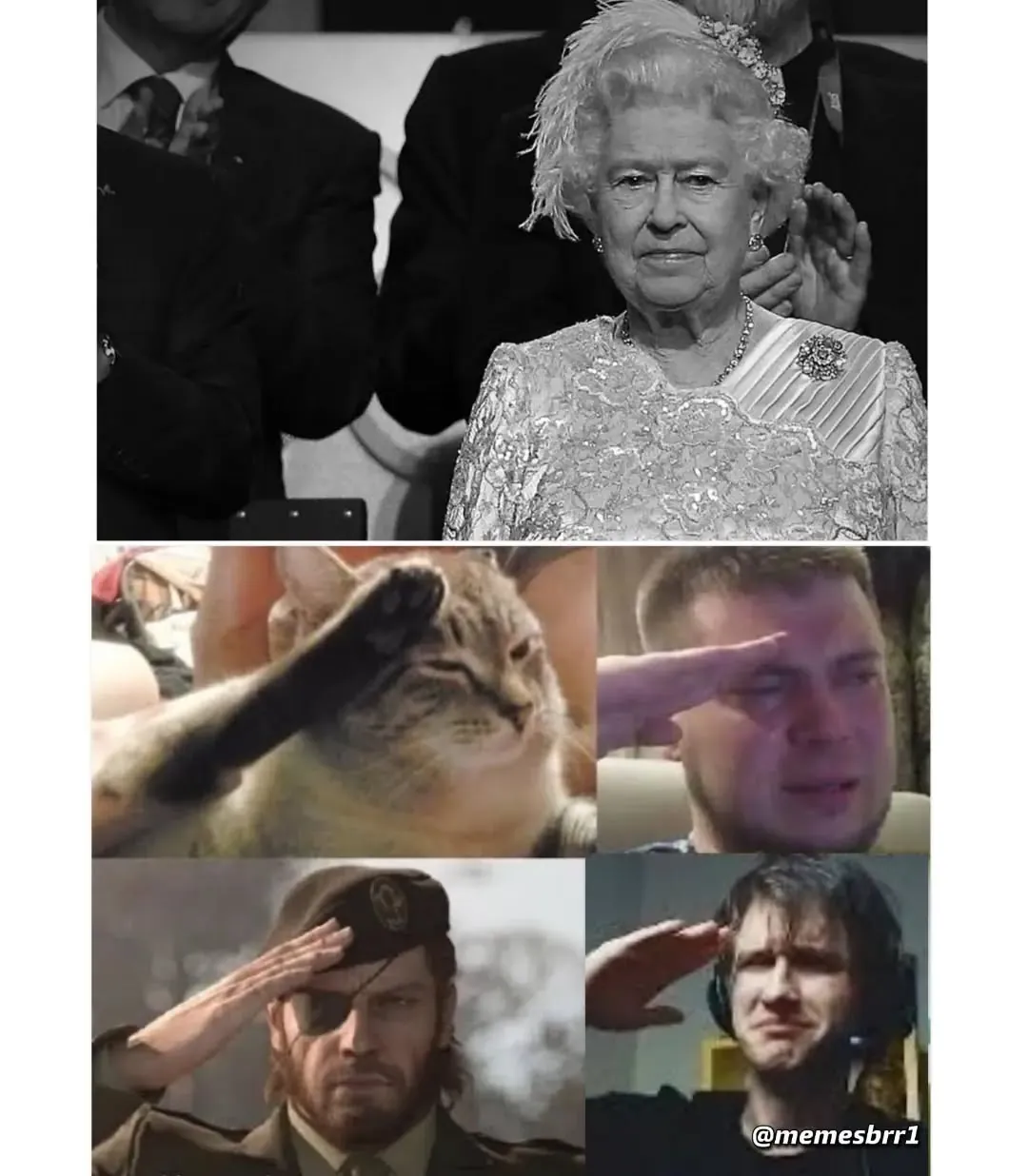meme de saudação irônica com rainha, gato e personagens fazendo continência em montagem