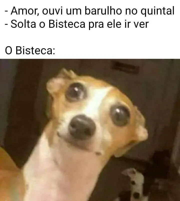 meme de cachorro Bisteca com cara assustada após ouvir barulho no quintal