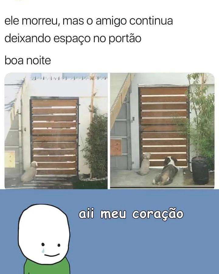 Dois cachorros diante de um portão, com espaço entre eles, em meme sobre cachorro deixando espaço no portão.