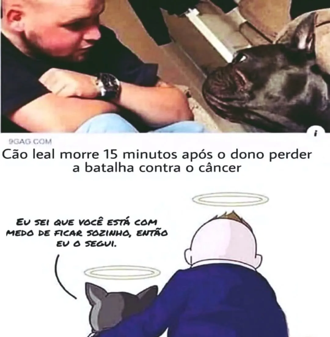 Meme de cão leal ao lado do dono, com auréolas, após o dono perder a batalha contra o câncer