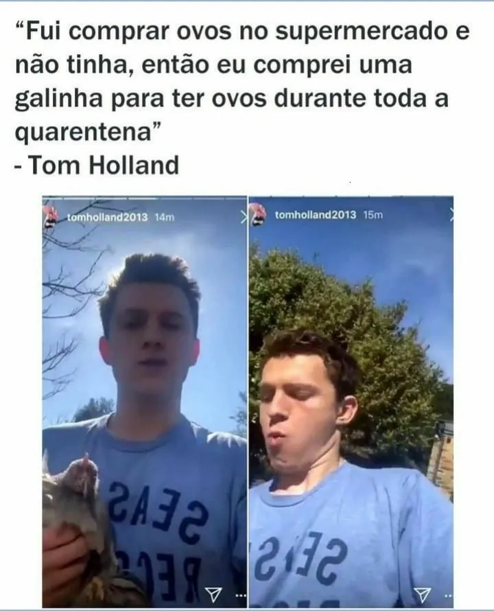 Meme de Tom Holland segurando uma galinha e depois com a boca cheia sobre comprar ovos na quarentena