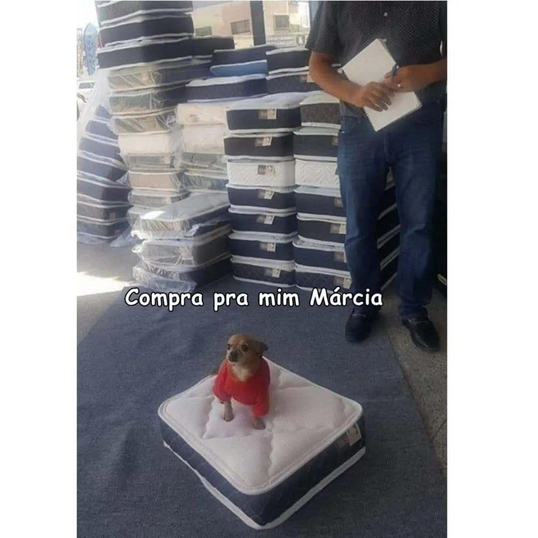 Meme de macaco em cima do colchão, usando roupa vermelha, com a frase Compra pra mim Márcia.