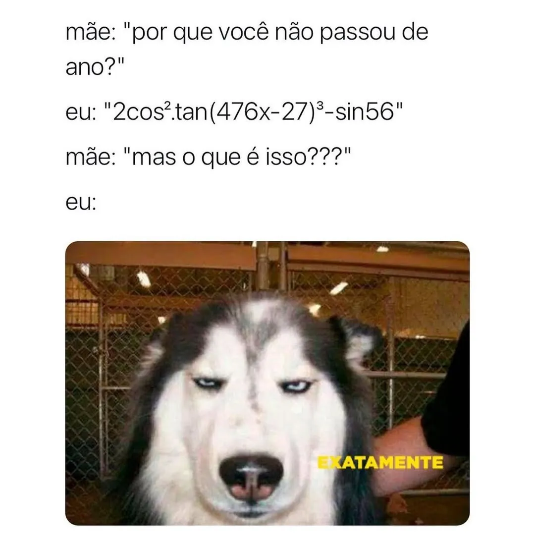 meme de cachorro sério com texto sobre não passar de ano e resposta com equação absurda