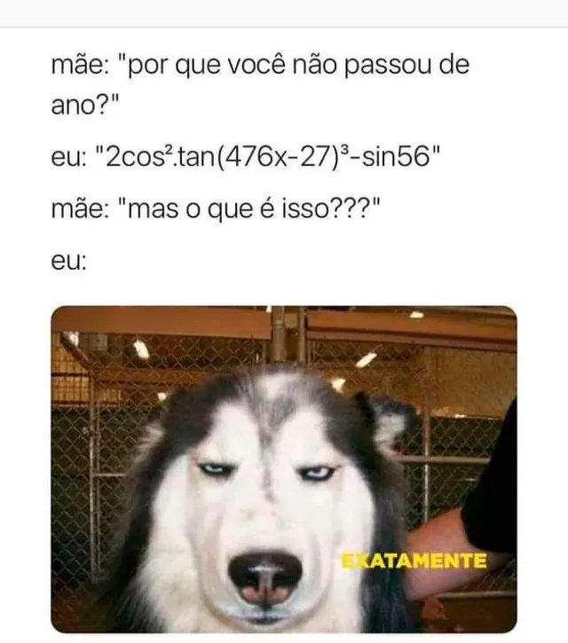Meme de não passei de ano com equação confusa e um husky sério com a palavra exatamente.