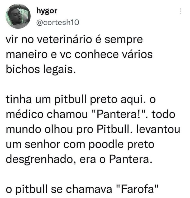meme de veterinário com texto sobre pitbull preto chamado Farofa e poodle preto chamado Pantera