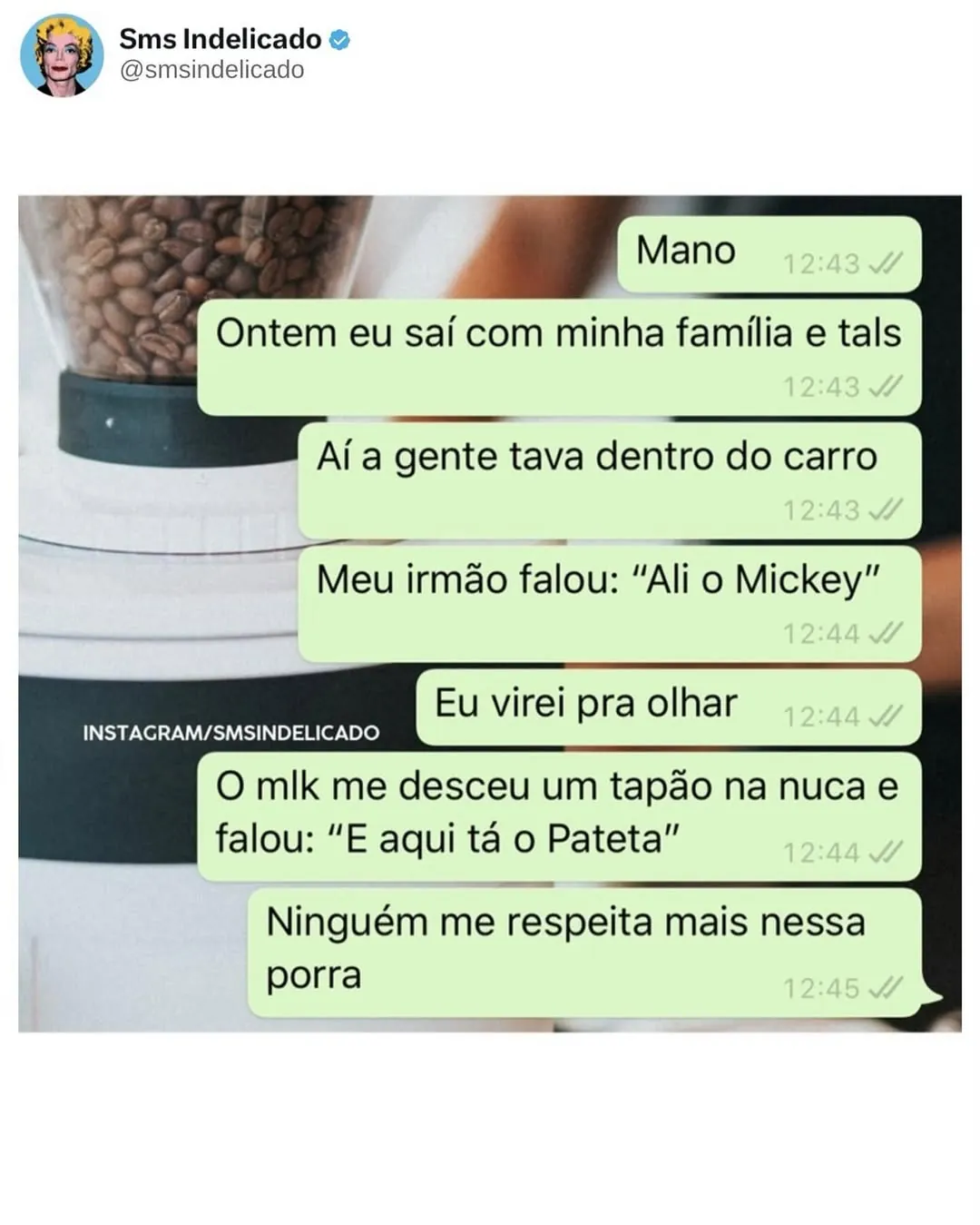 Meme de irmão chamando o outro de Pateta no carro após dar um tapão na nuca.