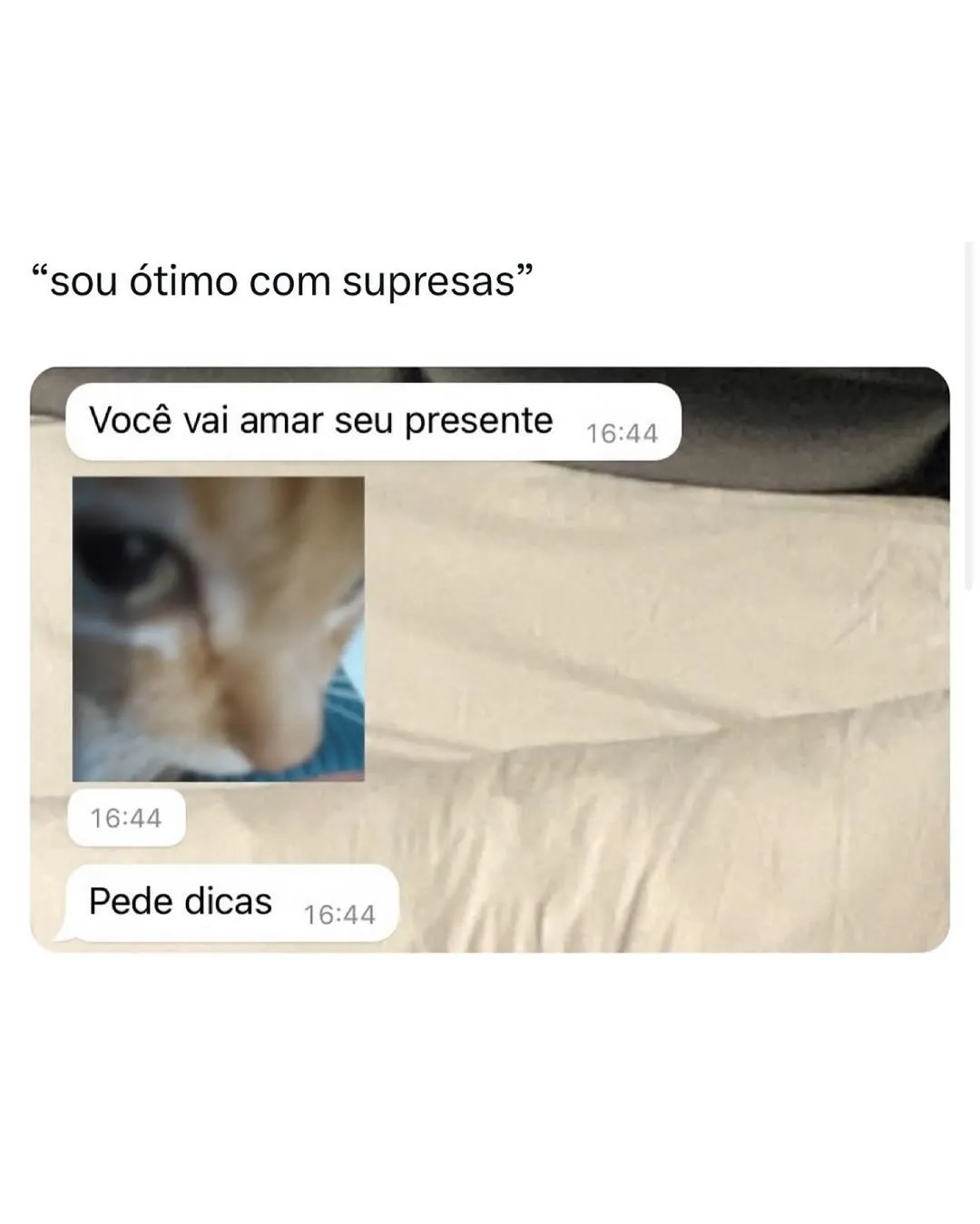 Meme de presente surpresa com conversa dizendo que a pessoa pede dicas para escolher o presente