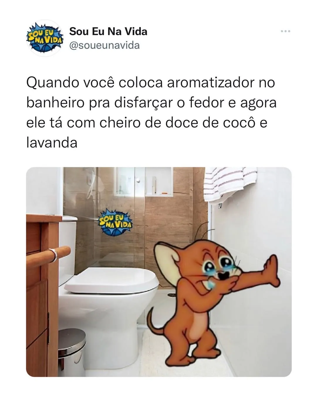 Meme de aromatizador no banheiro para disfarçar o fedor, com vaso sanitário e ratinho chorando.