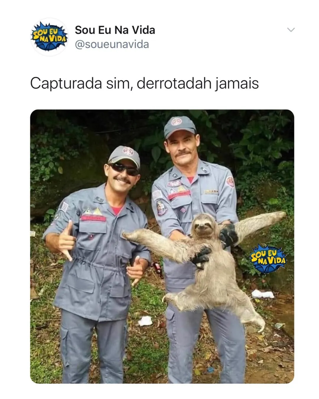 Meme de bicho-preguiça capturado sem se render, segurado por dois homens uniformizados na floresta