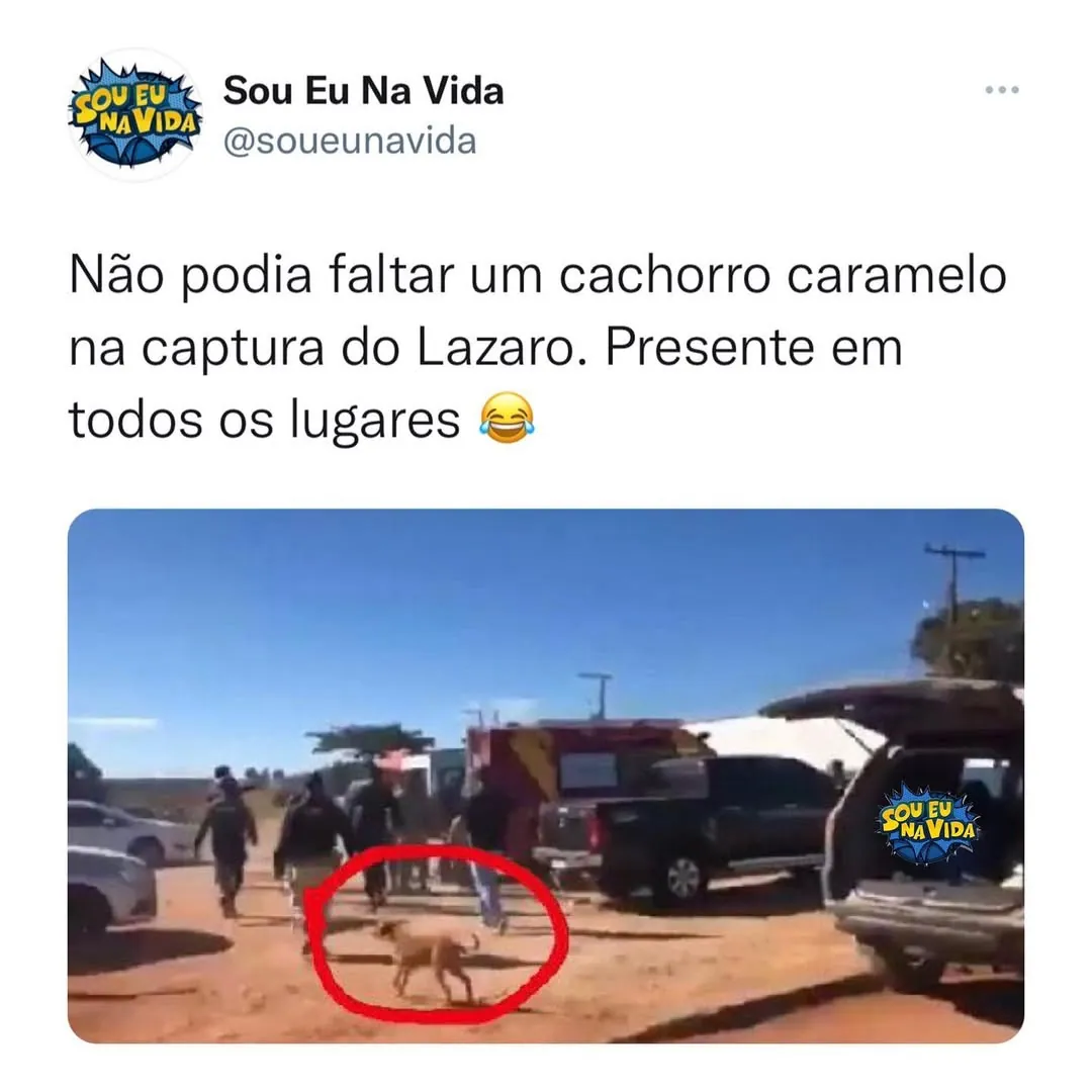 meme de cachorro caramelo circulado em vermelho em uma cena da captura do Lázaro com pessoas e carros ao fundo