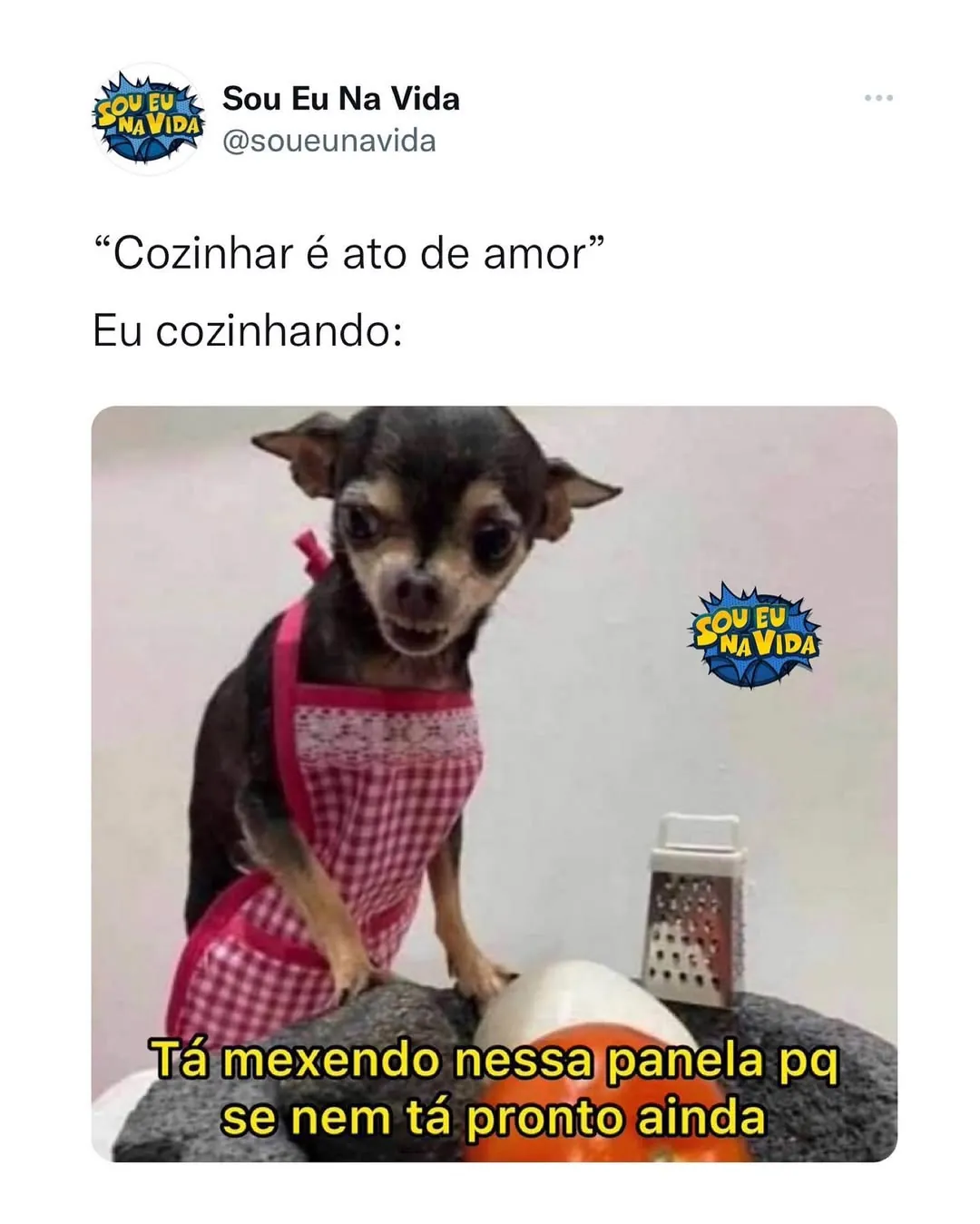 Meme de cachorro cozinhando de avental diante de uma panela e cobrando que a comida fique pronta.