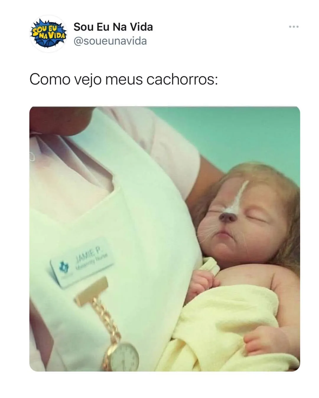 meme de cachorros bebês dormindo no colo, com um filhote no braço de uma pessoa vestida de branco