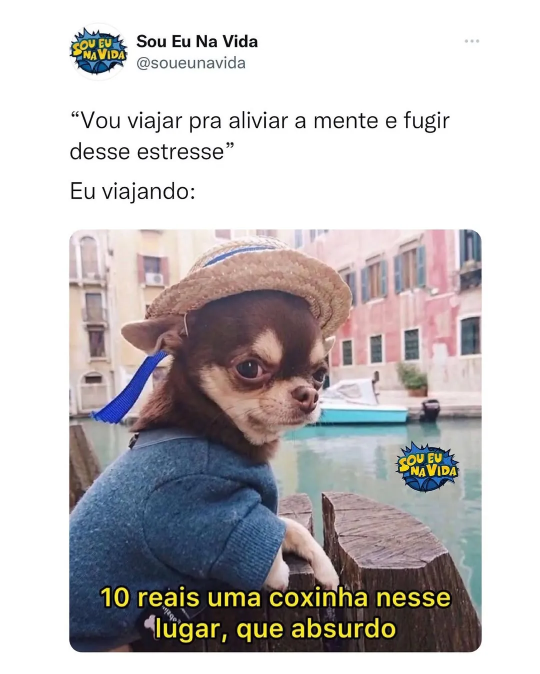 Meme de chihuahua viajando com chapéu, olhando de lado, em frente a um canal, reclamando do preço da coxinha.