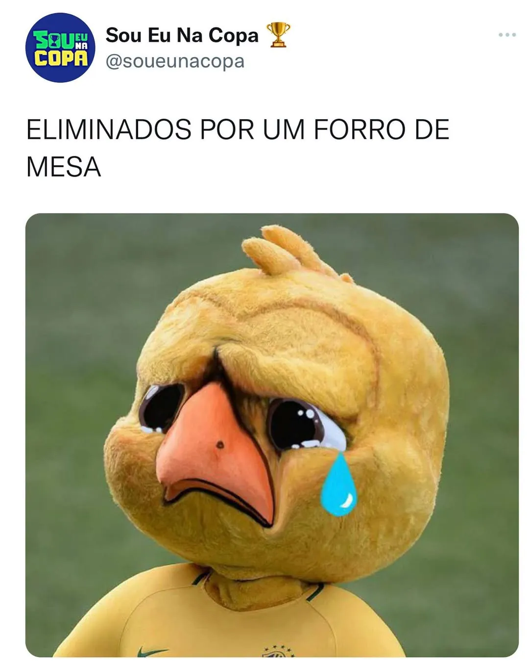 Meme de mascote da Seleção chorando após ser eliminado por um forro de mesa