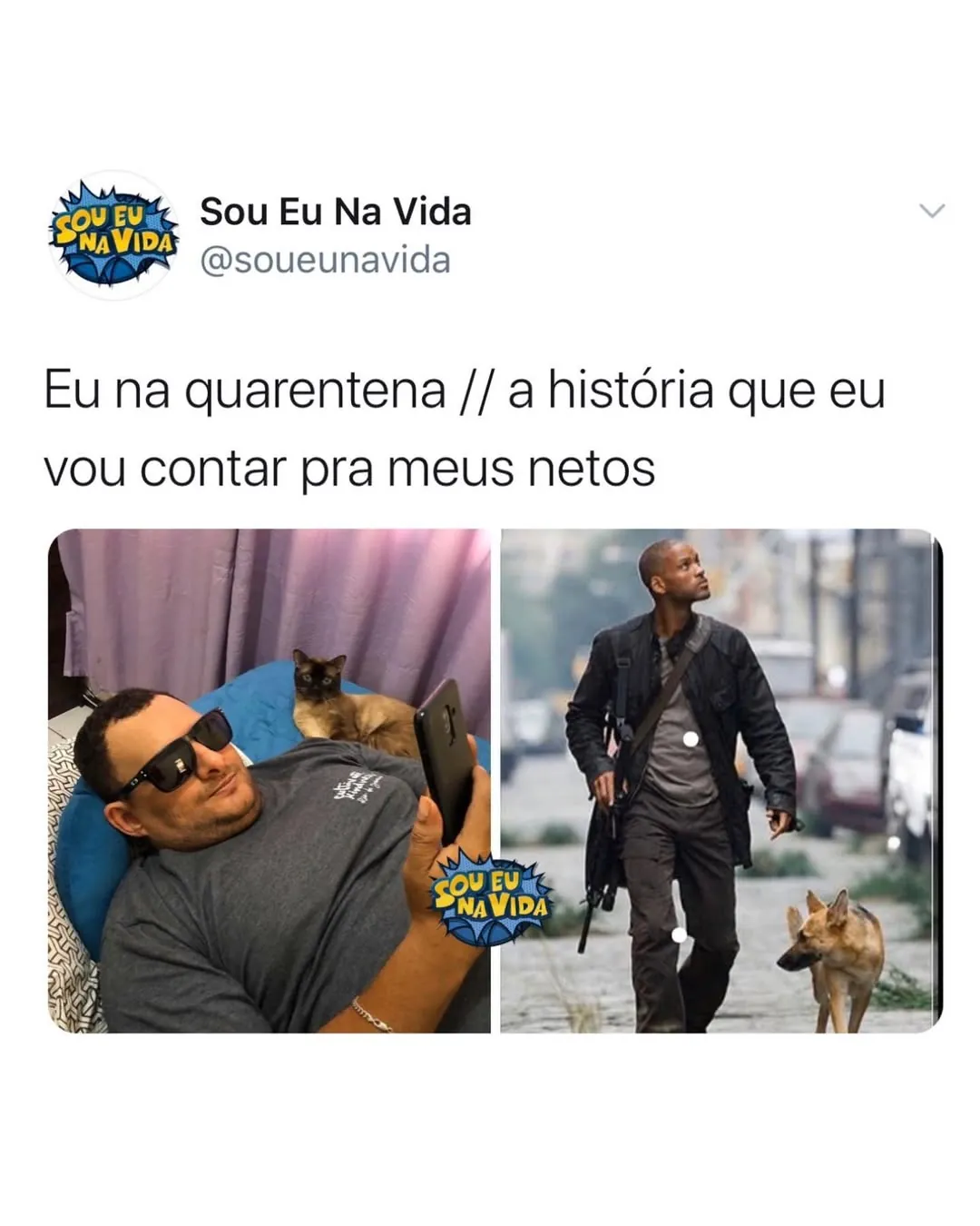 Meme de homem deitado com gato na quarentena comparado a herói armado em missão com cachorro