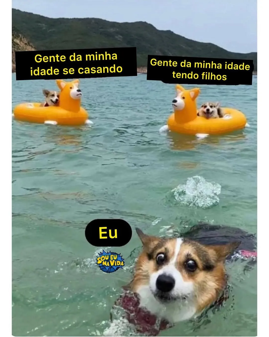 meme de cachorro na água com textos sobre gente da minha idade se casando e tendo filhos, e eu boiando na frente