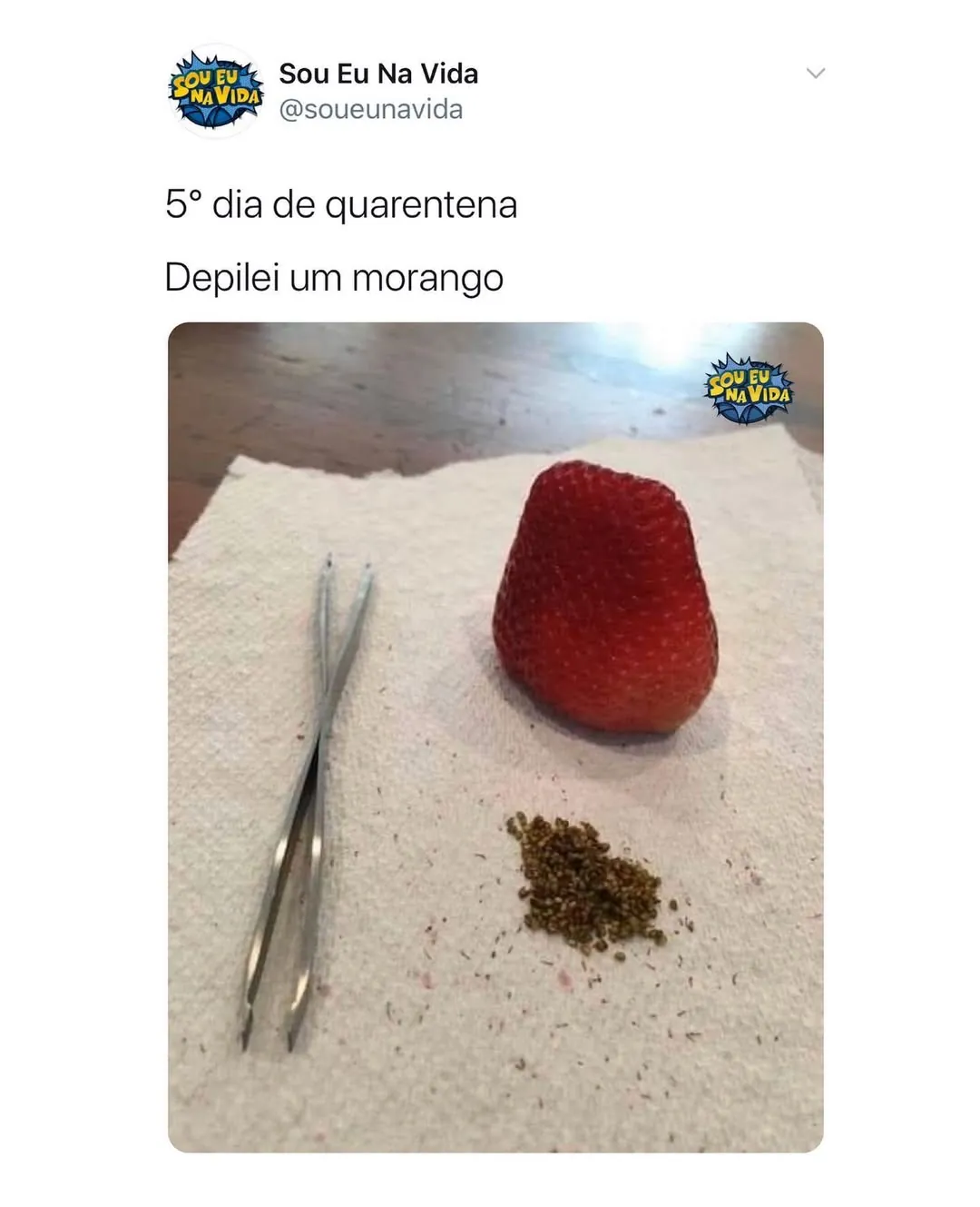 meme de quarentena com morango depilado, pinça ao lado e sementes removidas sobre papel toalha