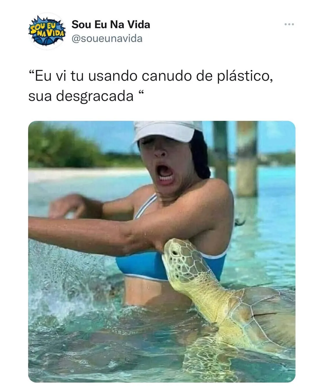 Meme de tartaruga no mar cobrando canudo de plástico de uma mulher assustada.